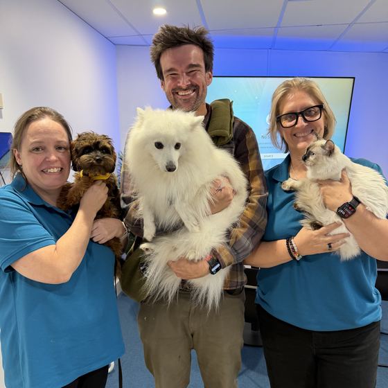 Pets in the office